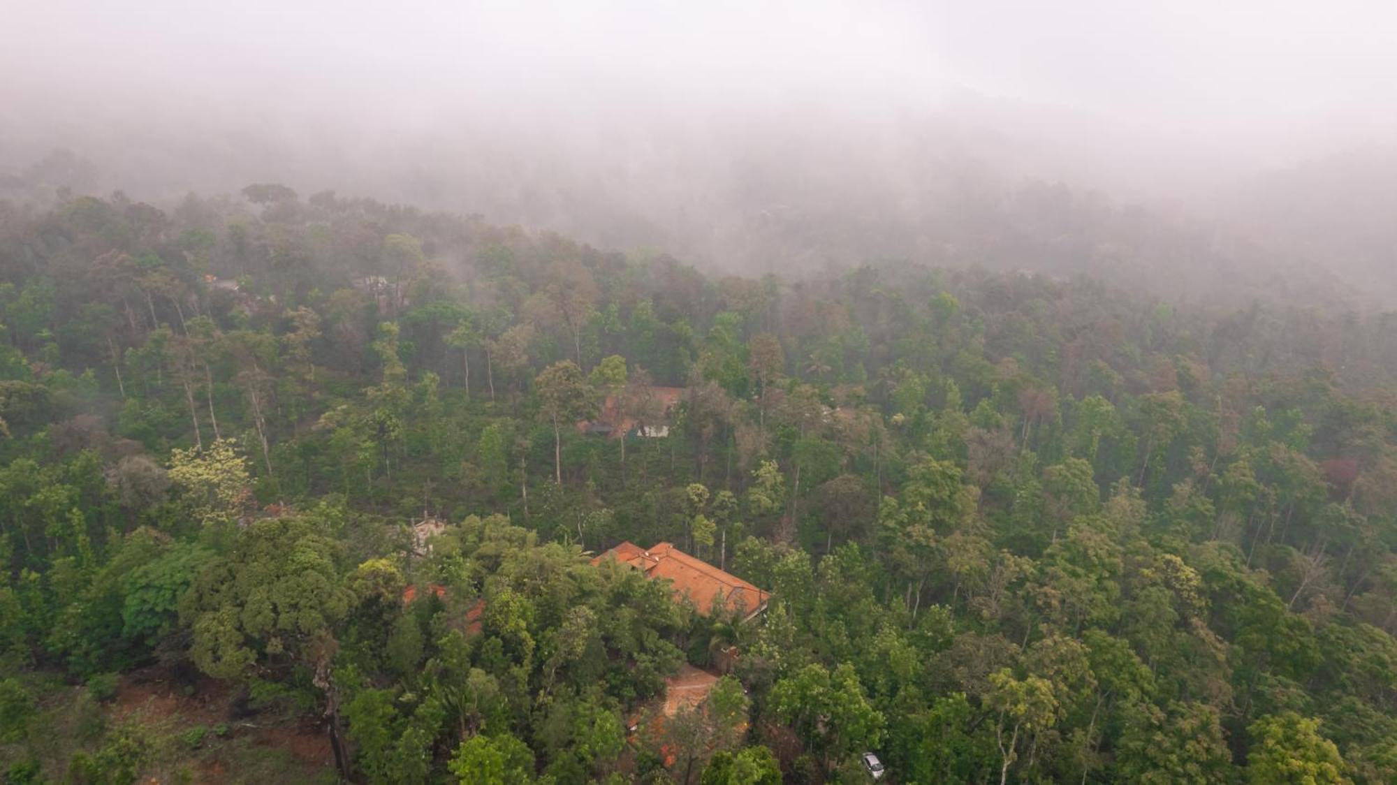 Vila Kingmaker'S Plantation With River Stream Madikeri Exteriér fotografie