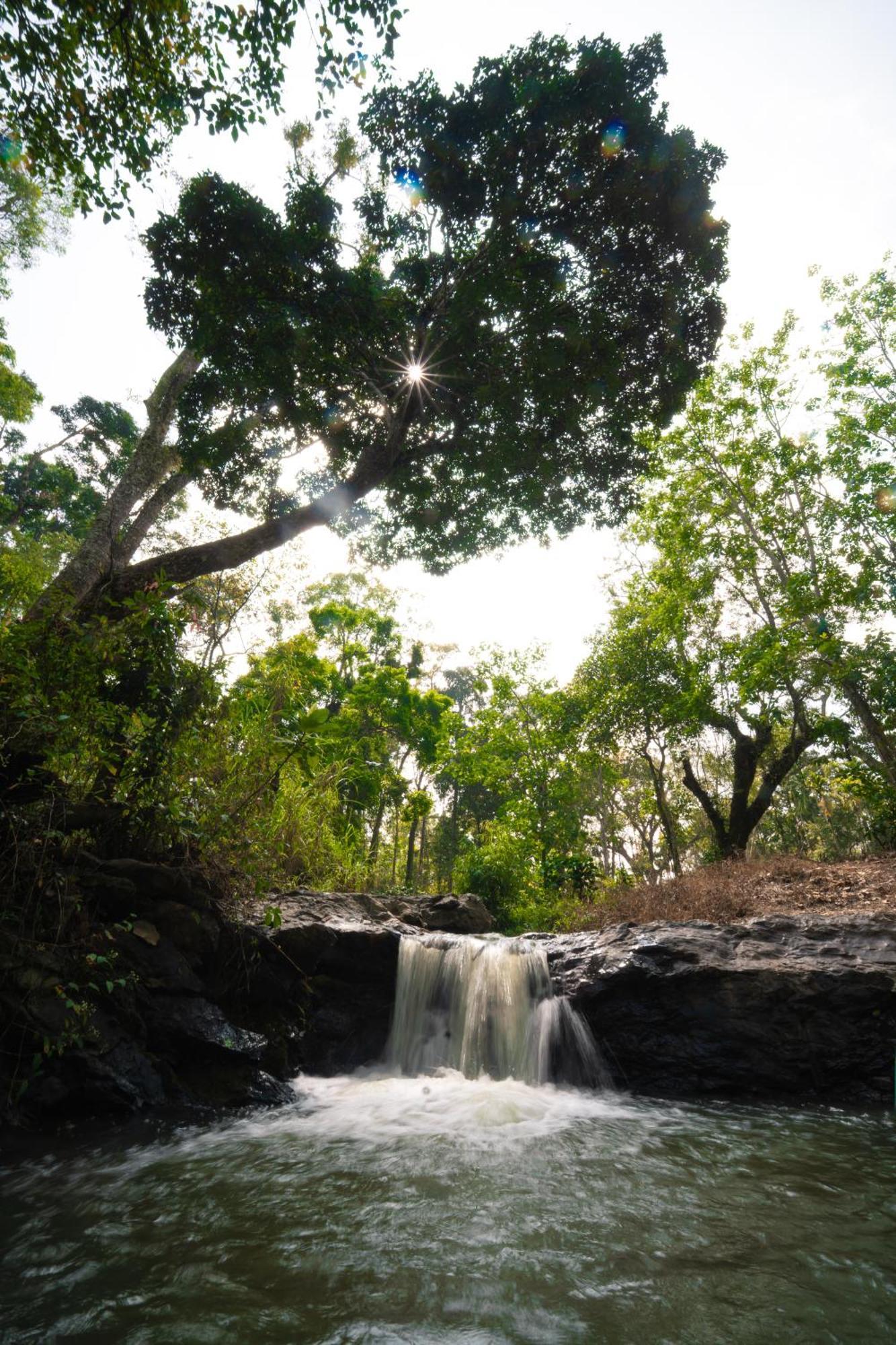 Vila Kingmaker'S Plantation With River Stream Madikeri Exteriér fotografie