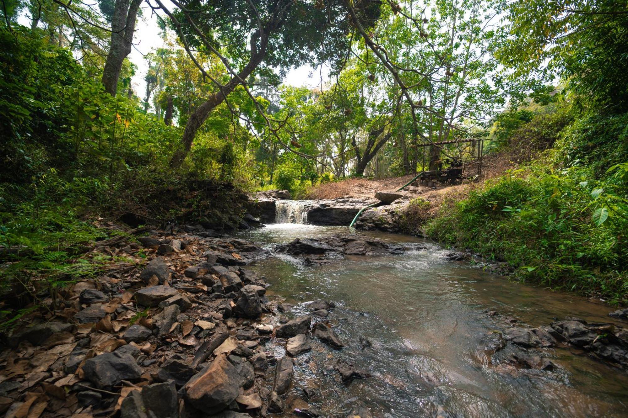 Vila Kingmaker'S Plantation With River Stream Madikeri Exteriér fotografie